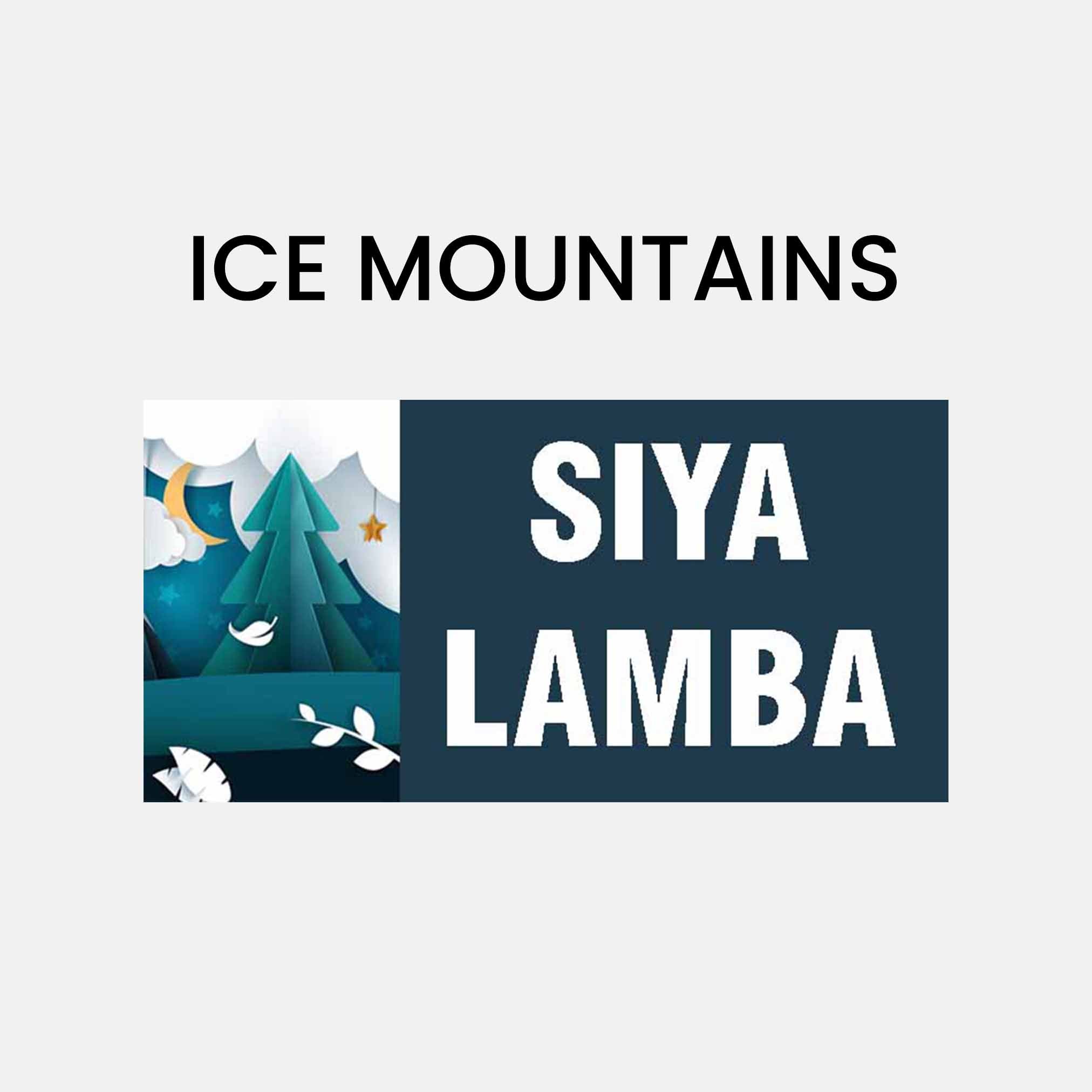 Thumbnail 15